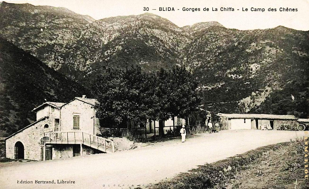 Camp des Chenes - Blida - Gorges de la Chiffa -.jpg